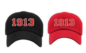Doorbuster Hats - $25